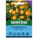Calendula Oopsy Daisy