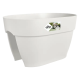 Elho Vibia Campana Flower Bridge 40cm - Silky White