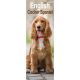 English Cocker Spaniel 2025 Slim Calendar