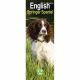 English Springer Spaniel 2023 Slim Calendar