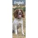 English Springer Spaniel 2025 Slim Calendar