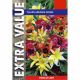 Tulips Species Mixed (Extra Value Pack)