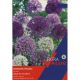 Allium Border Mixed (Extra Value Pack)
