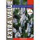 Puschkinia Scilloides Libanotica (Extra Value Pack)