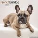 French Bulldog 2024 Wall Calendar