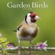 Garden Birds 2024 Wall Calendar