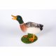 Gazing Mallard Duck 34x15x29cm