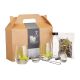 BarCraft Gin Making Kit
