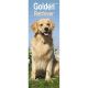 Golden Retriever 2024 Slim Calendar