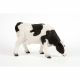 Grazing Black & White Cow 37x15x24cm