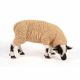 Grazing Sheep 46x24x28cm