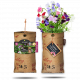 Baza Hanging Garden - Sweet Pea Lathyrus