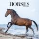 Horses 2024 Wall Calendar