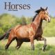 Horses 2025 Wall Calendar