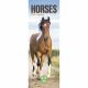Horses 2023 Slim Calendar