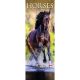 Horses 2025 Slim Calendar