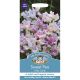 Sweet Pea Tiller Girls