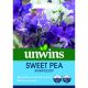 Sweet Pea Rhapsody