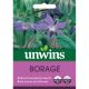 Herb Borage