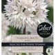 Allium Graceful Beauty