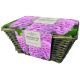 Large Hyacinth Basket - Pink