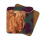 LG Coaster - Highland Cow