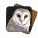 LG Coaster - Barn Owl