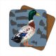 LG Coaster - Duck