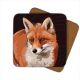 LG Coaster - Fox