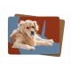 LG Table Mat Golden Retriever