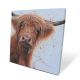Box Canvas 