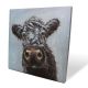 Box Canvas 