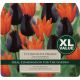 Tulip Chocolate Orange (XL Value Pack)