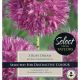 Allium Carolinianum Rosy Dream (Select Range)