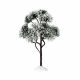 Lemax Mountain Pine - Large