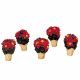 Lemax Poinsettias - Set of 5