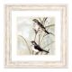 Framed Art Print 50x50cm