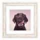 Framed Art Print 50x50cm