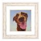 Framed Art Print 50x50cm