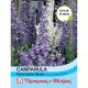 Campanula Pyramidalis Mixed