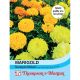 Marigold Sunspot Mixed