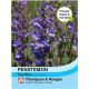 Penstemon True Blue