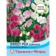 Sweet Pea Everlasting Mixed (Lathyrus)