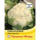 Cauliflower Winter Aalsmeer