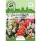 Antirrhinum Magic Carpet