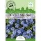 Forget Me Not Symphony Blue