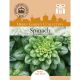 Spinach Picasso F1 Hybrid
