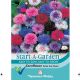 Cornflower Polka Dot Mixed (Start-A-Garden)
