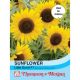 Sunflower Little Dorrit F1 Hybrid