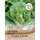 Lettuce Little Gem (Organic)